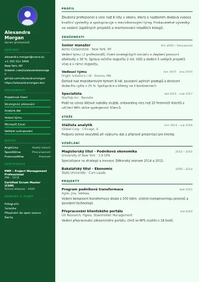 Šablona životopisu Accountant
