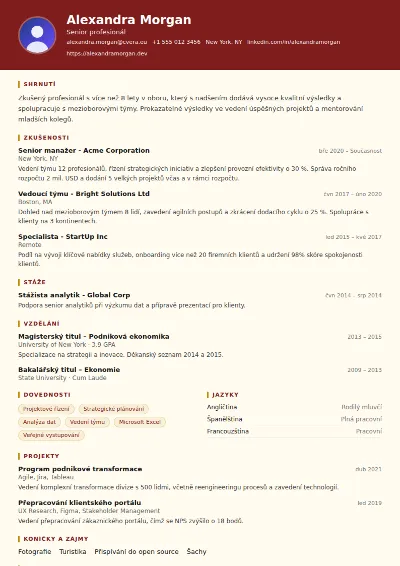 Šablona životopisu Attorney