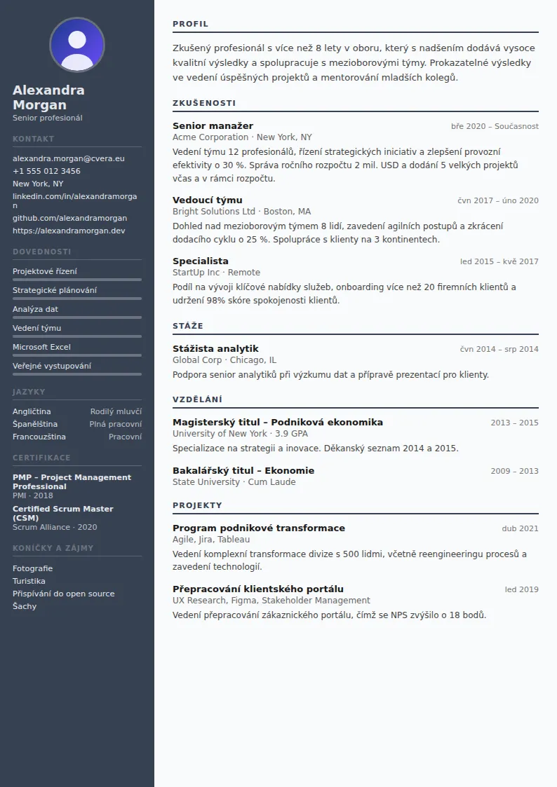 Šablona životopisu Auditor