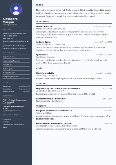 Šablona životopisu Auditor