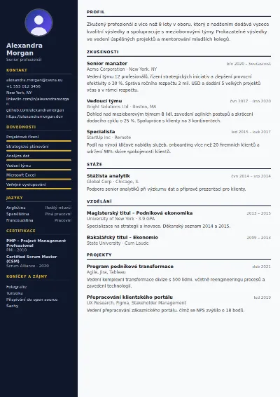 Šablona životopisu Banker