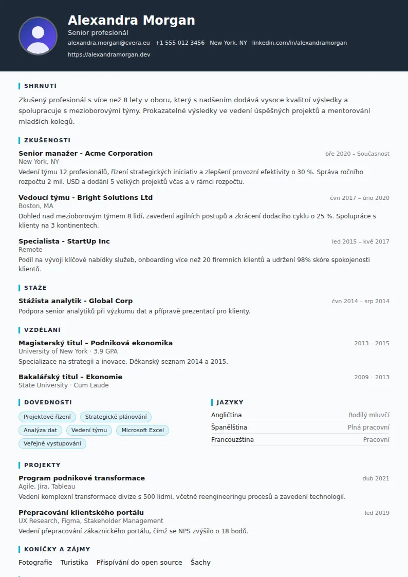 Šablona životopisu Consultant