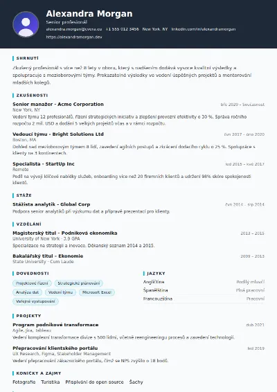 Šablona životopisu Consultant