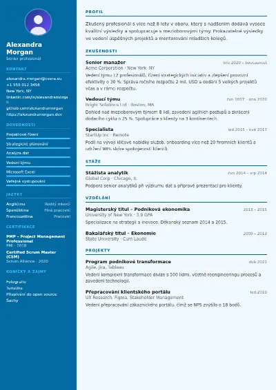 Šablona životopisu Dentist