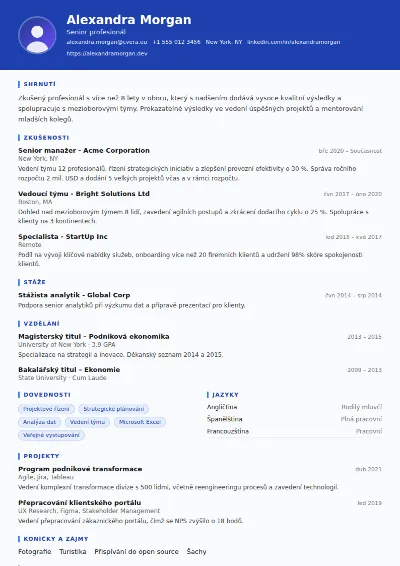 Šablona životopisu Driver