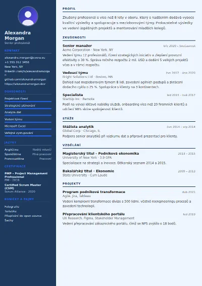 Šablona životopisu Economist