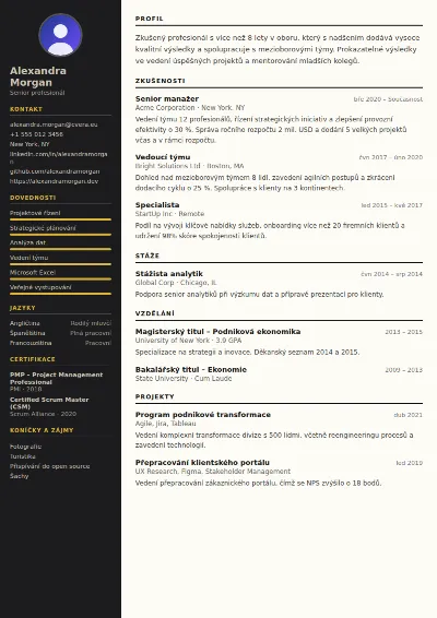 Šablona životopisu Hotel Manager
