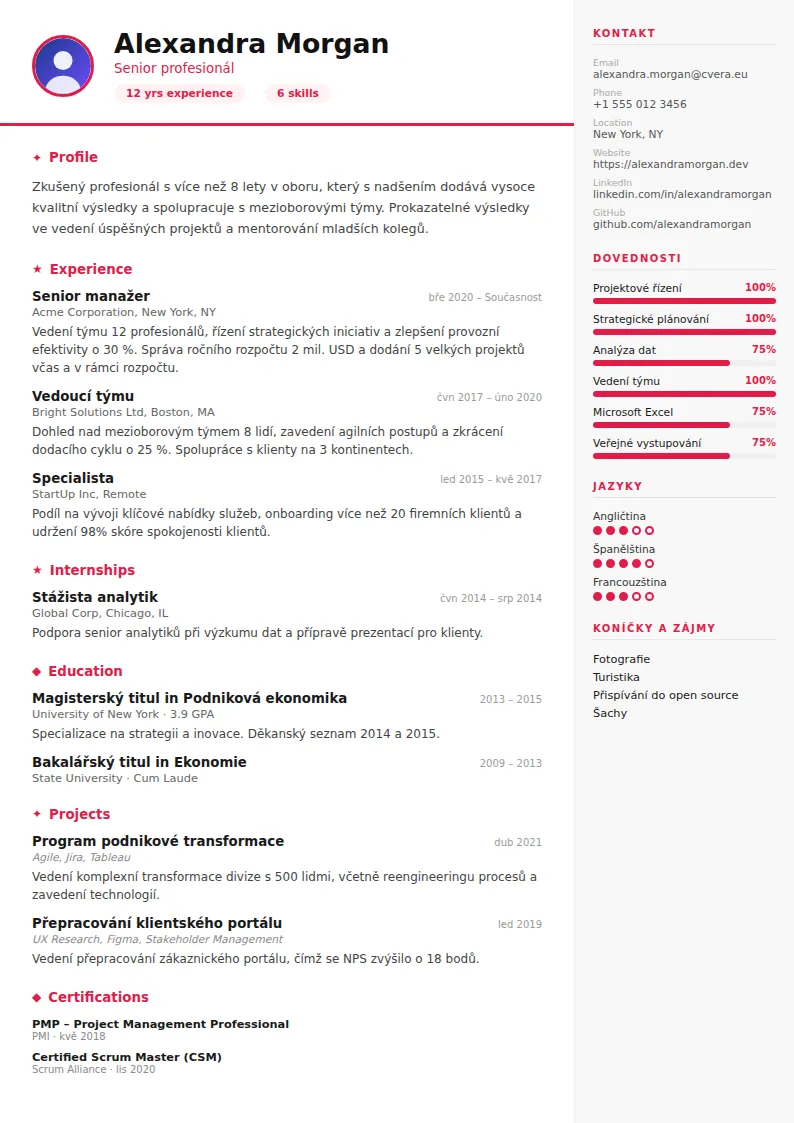 Šablona životopisu Infographic
