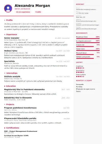 Šablona životopisu Infographic