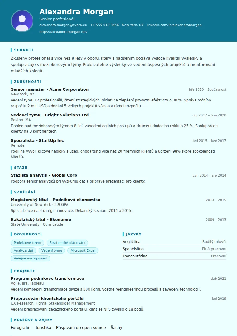 Šablona životopisu IT Support