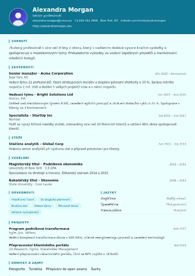 Šablona životopisu IT Support
