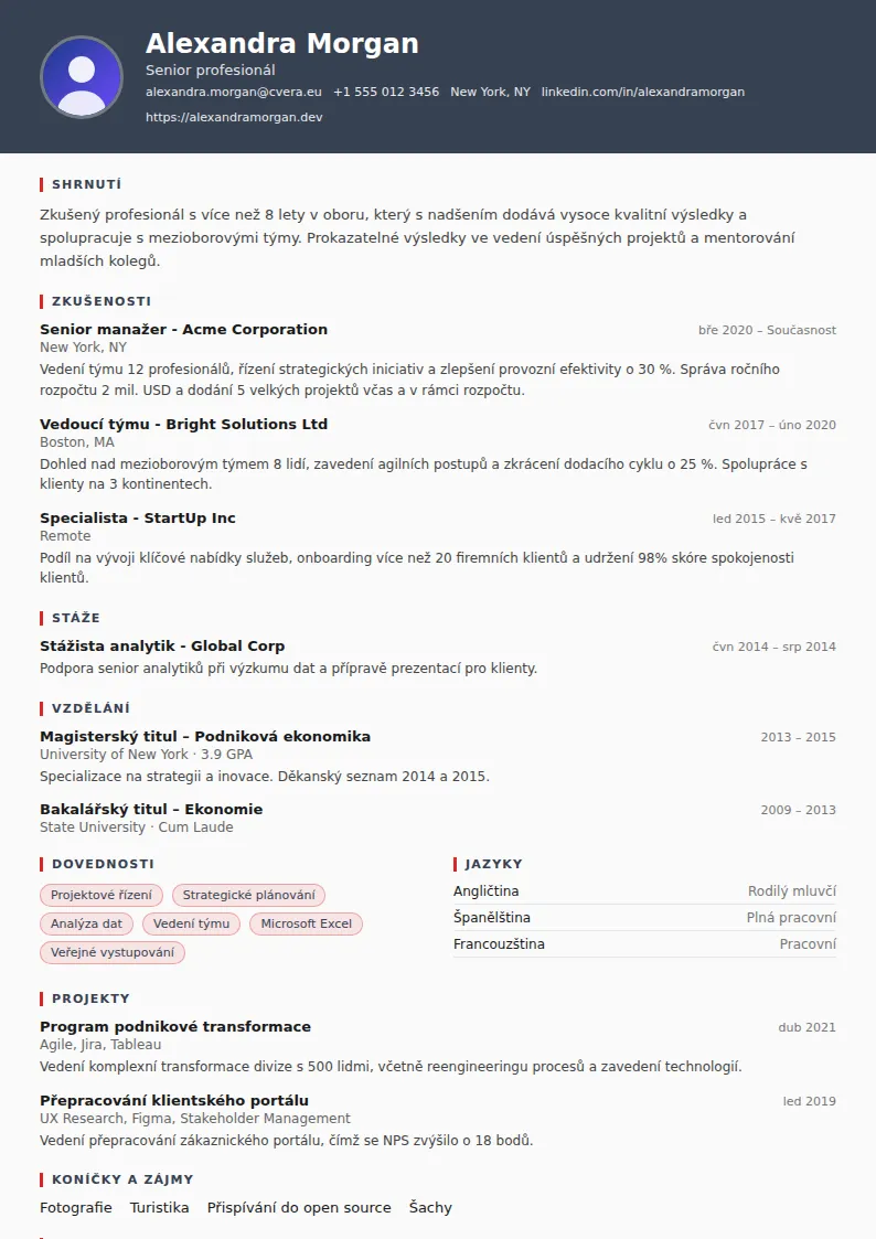 Šablona životopisu Mechanic