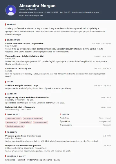 Šablona životopisu Mechanic