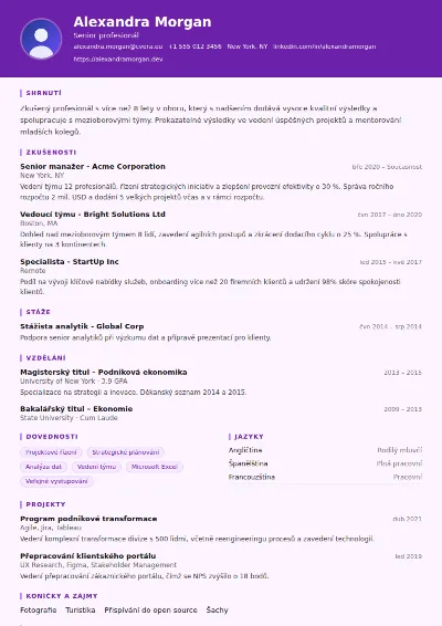 Šablona životopisu Musician