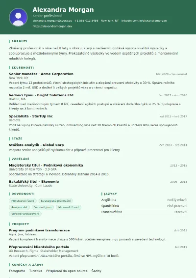 Šablona životopisu Nurse
