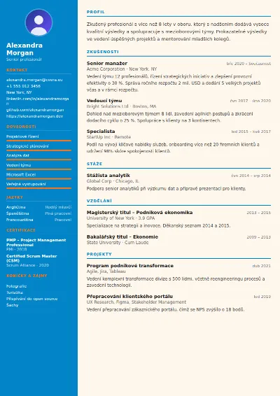 Šablona životopisu Physiotherapist