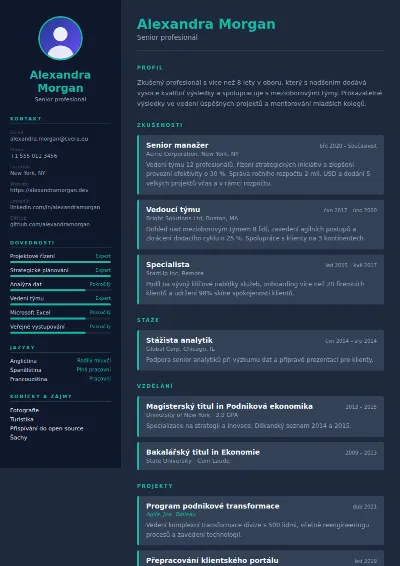 Šablona životopisu Slate