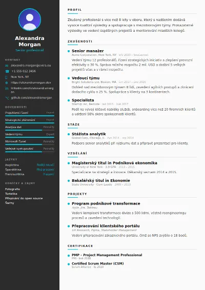 Šablona životopisu Sleek