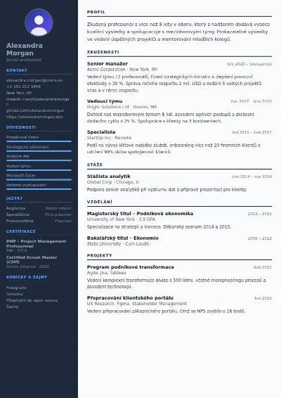 Šablona životopisu Software Engineer