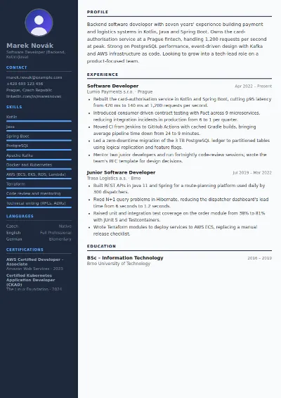 Software Developer CV Example