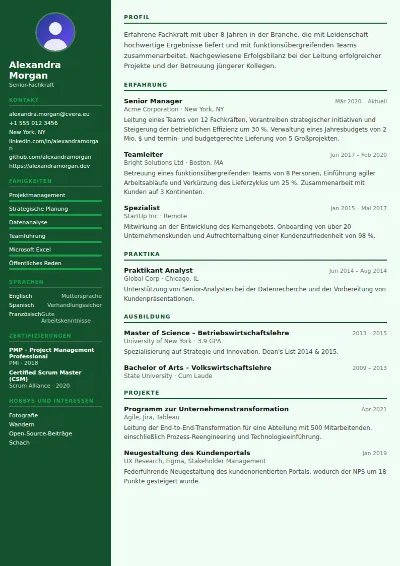 Lebenslauf-Vorlage Accountant