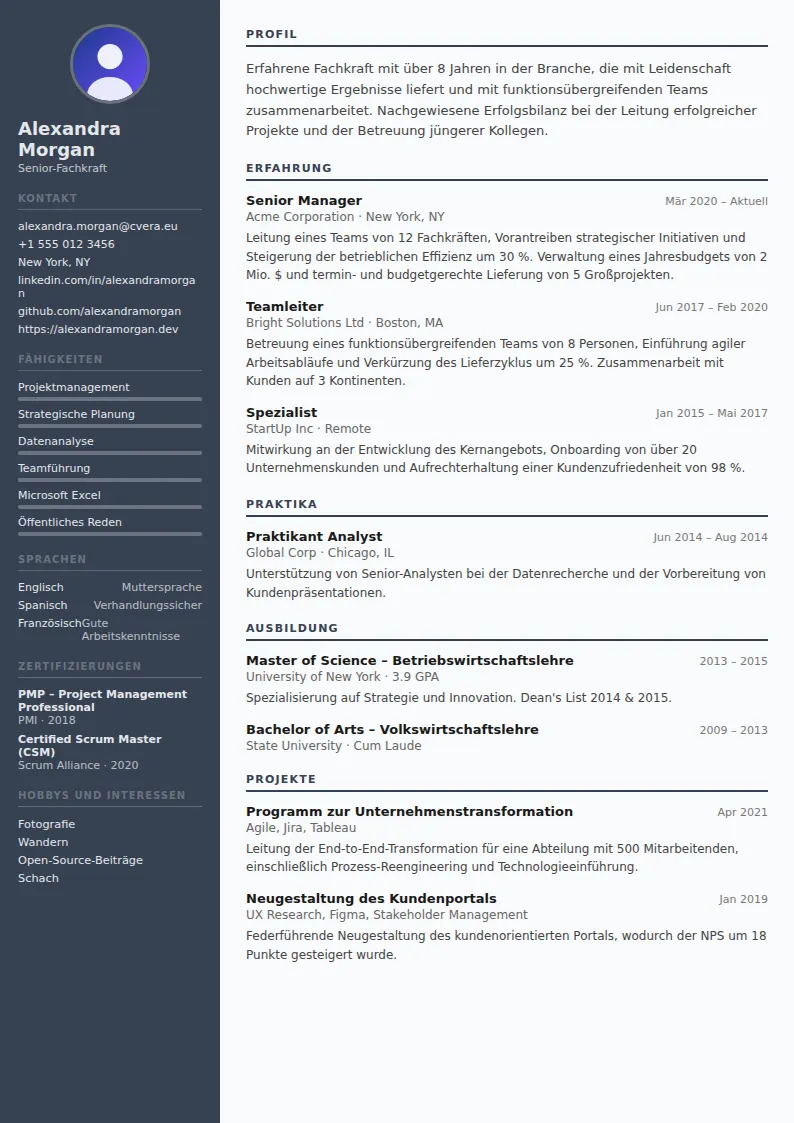 Lebenslauf-Vorlage Auditor
