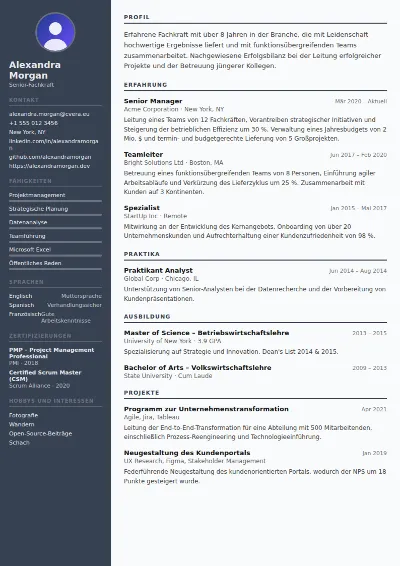 Lebenslauf-Vorlage Auditor