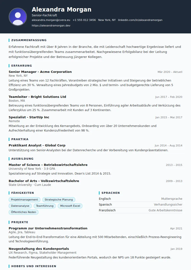 Lebenslauf-Vorlage Consultant