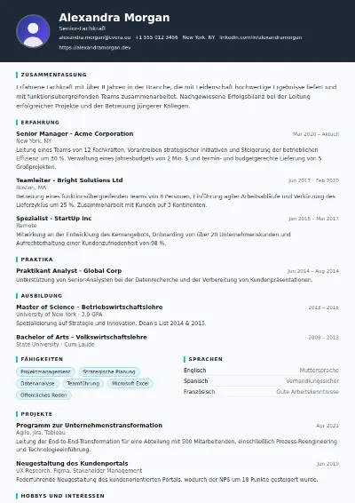 Lebenslauf-Vorlage Consultant