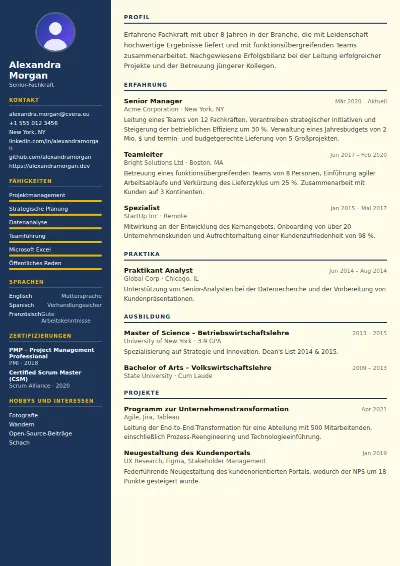 Lebenslauf-Vorlage Electrician