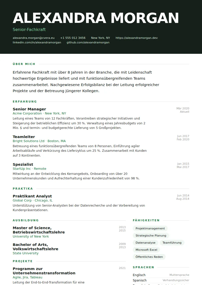 Lebenslauf-Vorlage Headline