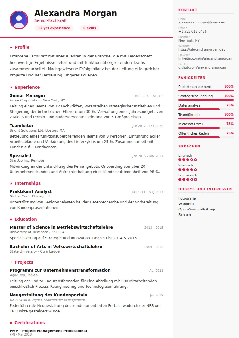 Lebenslauf-Vorlage Infographic