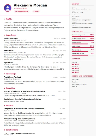 Lebenslauf-Vorlage Infographic