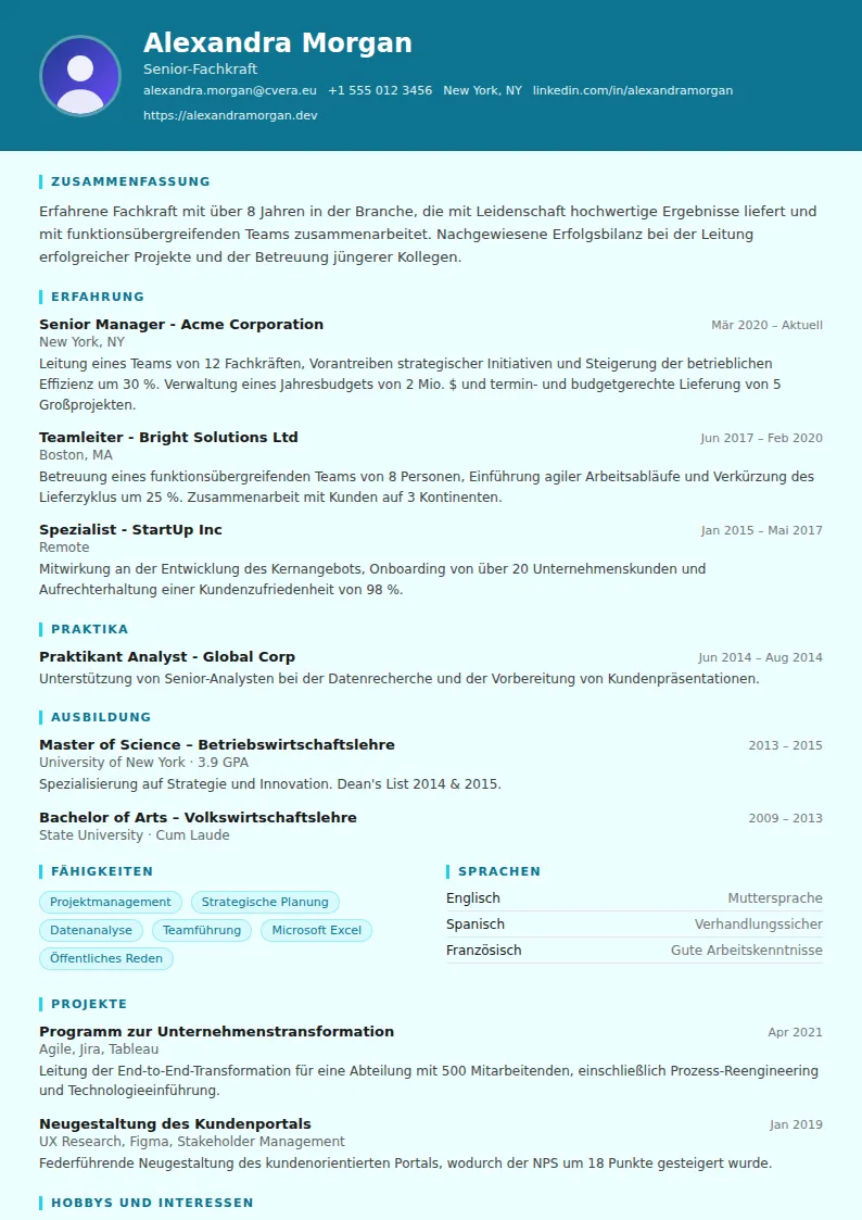 Lebenslauf-Vorlage IT Support