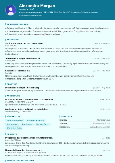 Lebenslauf-Vorlage IT Support