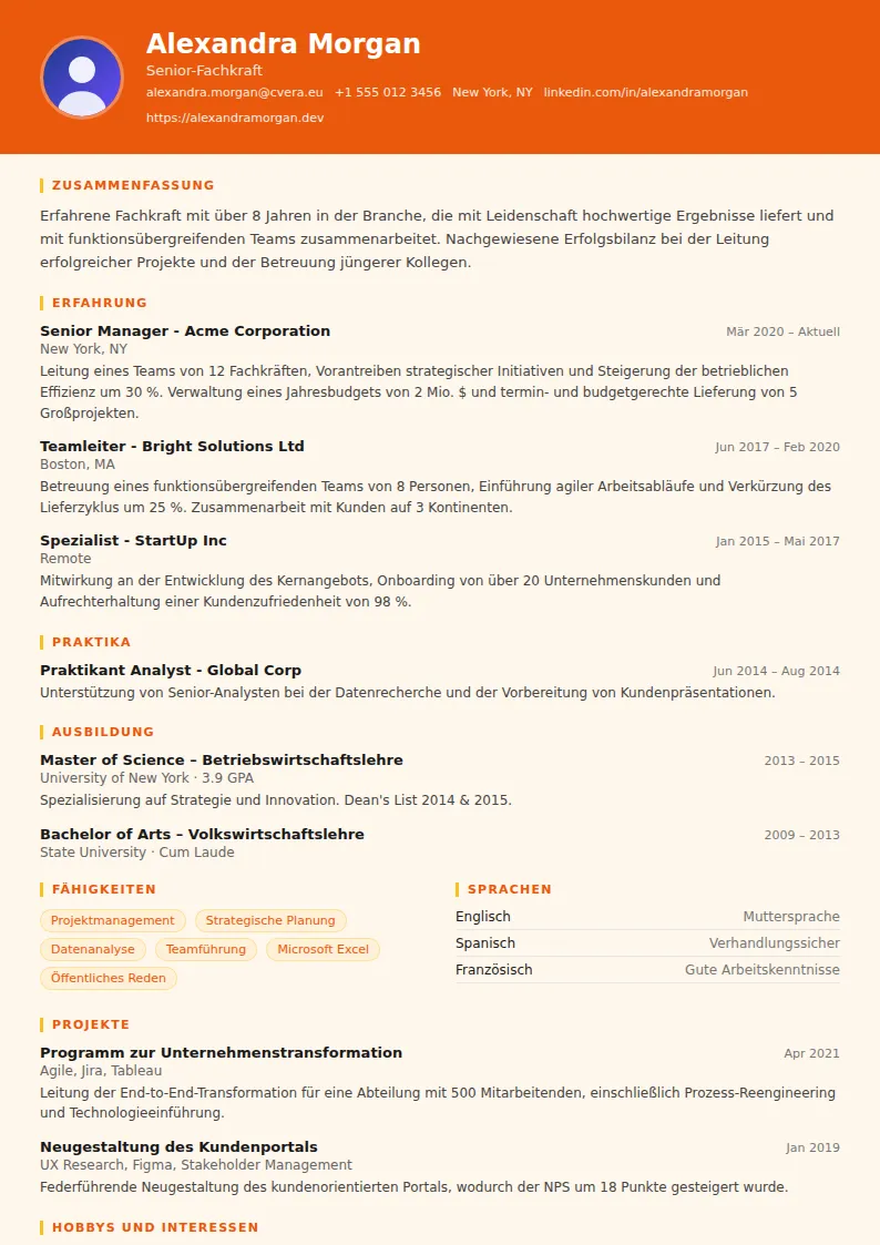 Lebenslauf-Vorlage Marketing