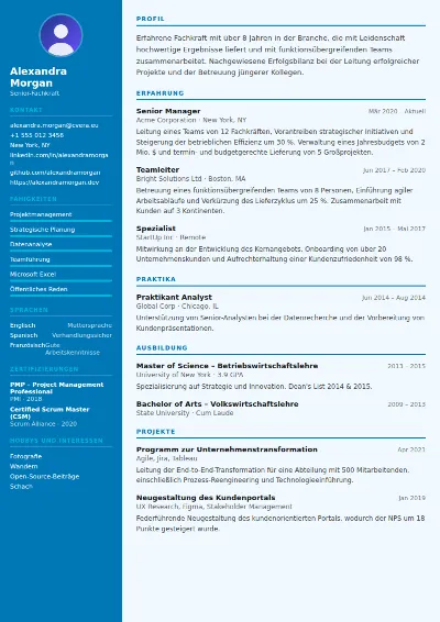 Lebenslauf-Vorlage Medical