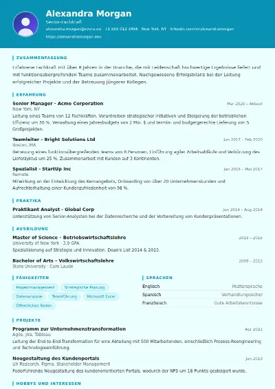 Lebenslauf-Vorlage Social Worker