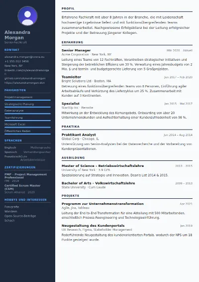 Lebenslauf-Vorlage Software Engineer