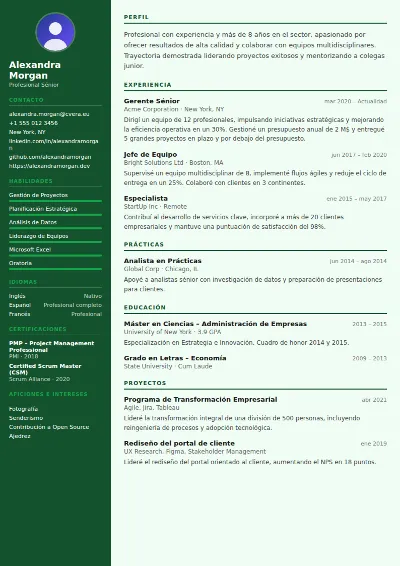 Plantilla de CV Accountant