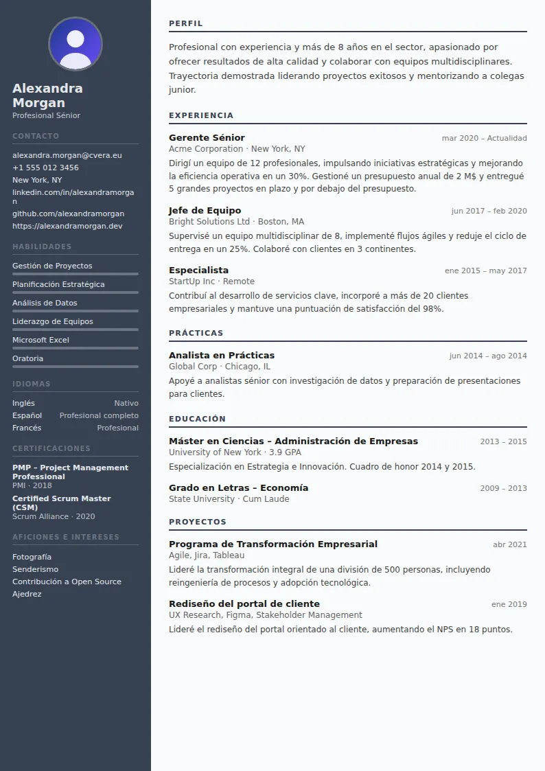 Plantilla de CV Auditor