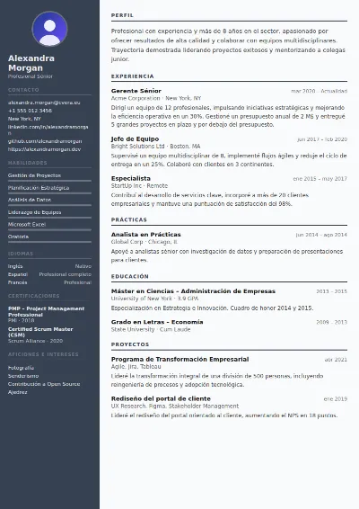 Plantilla de CV Auditor