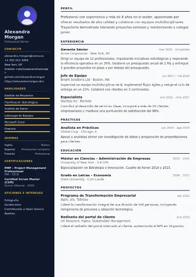 Plantilla de CV Banker