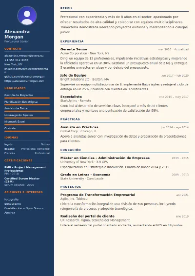 Plantilla de CV Civil Engineer