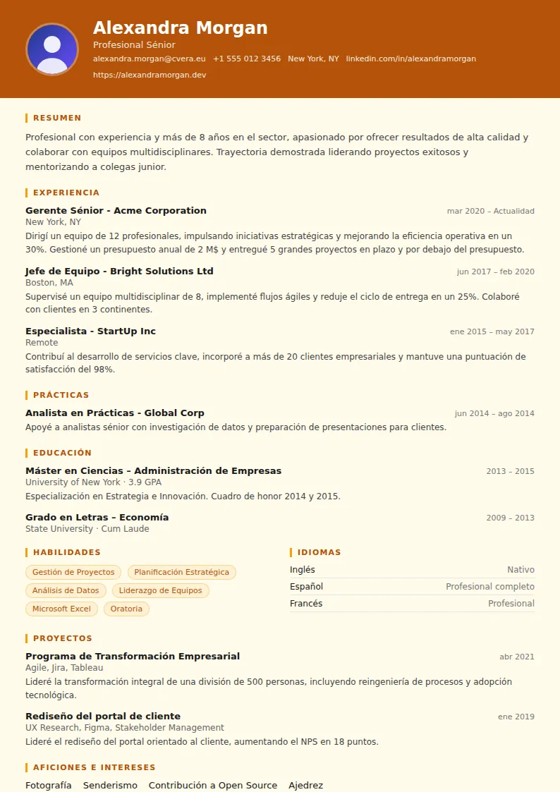 Plantilla de CV Construction