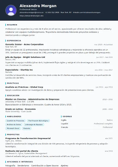 Plantilla de CV Consultant