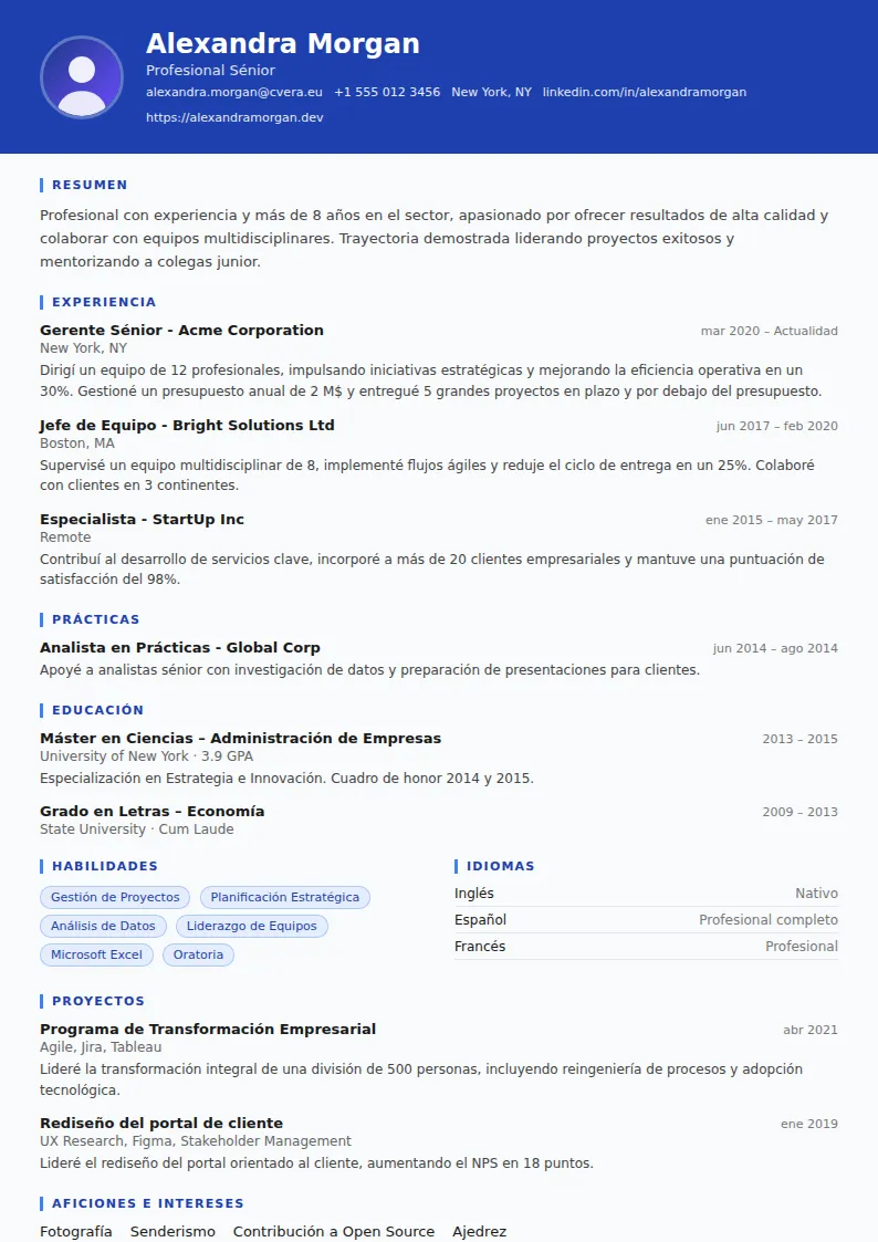 Plantilla de CV Driver