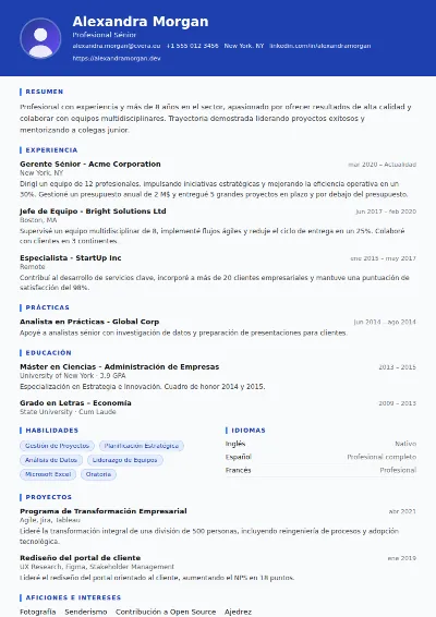 Plantilla de CV Driver