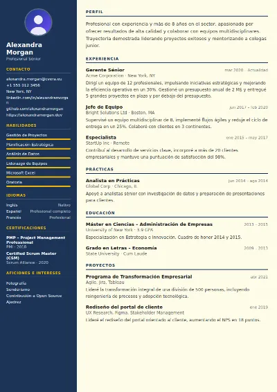 Plantilla de CV Electrician