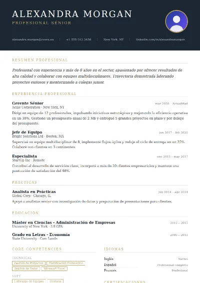 Plantilla de CV Executive